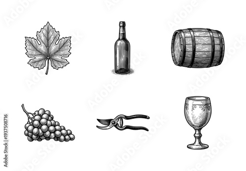 Vintage engraving style collection of wine production elements featuring grapes leaf bottle barrel pruners and goblet