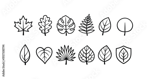 Assortment of diverse leaf icons representing nature, botany, and environment, organic design elements