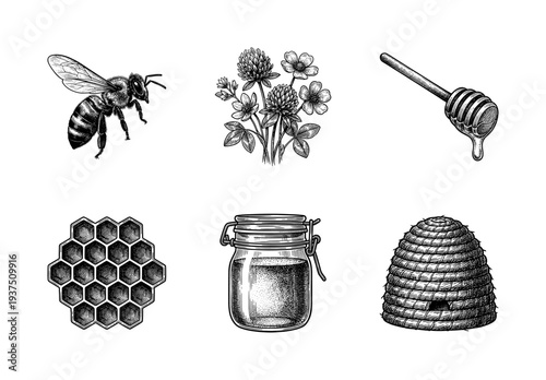 Vintage engraving style honey production collection featuring honeybee, wild flowers, honey dipper, honeycomb, mason jar, and traditional beehive skep.