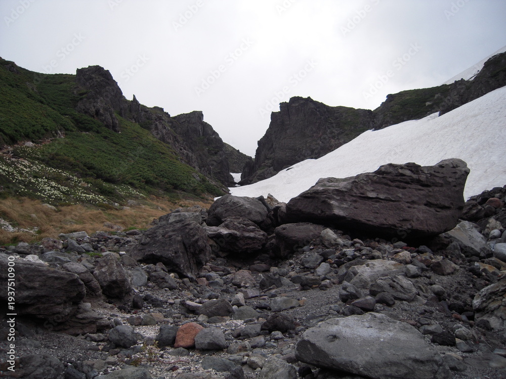 Obraz premium Mt.Asahi-dake, snow&flowers