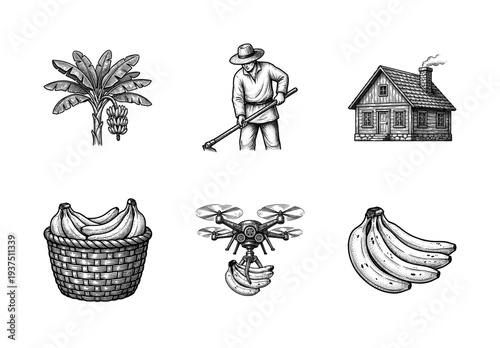 Vintage engraving style illustration set featuring banana cultivation, drone technology, a farmer harvesting, and a rustic wooden cottage house