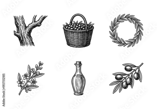 Set of vintage olive oil production elements featuring tree trunk, fruit basket, laurel wreath, flowering branch, glass bottle, and olives on branch in woodcut style.