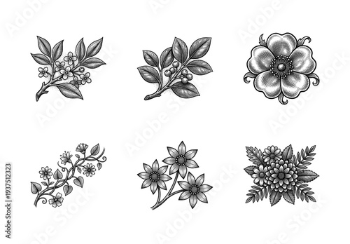 Vintage botanical engraving collection featuring delicate floral branches, wildflower blossoms, and berry sprigs in a detailed hand drawn woodcut style.