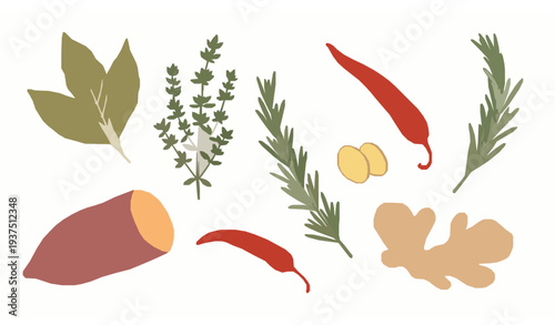 Detailed engraved mushroom botanical vector set with forest fungi varieties isolated on white