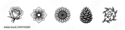 Set of black and white botanical illustrations featuring a rose, geometric flower, sunflower, pinecone, and leafy vine in a vintage woodcut engraving style