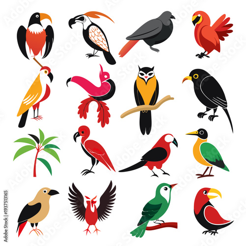 Vibrant vector illustrations of diverse bird species on white background