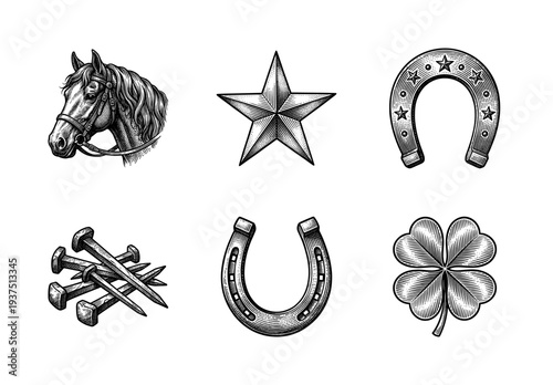 Vintage engraving set of equestrian and luck themed elements including horse head, horseshoe, star, four leaf clover, and iron nails in woodcut style.