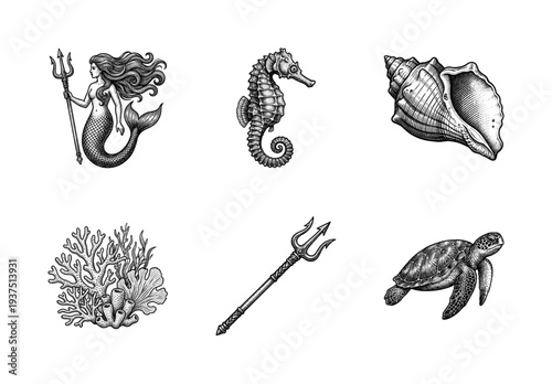 Nautical mythology and marine life collection featuring mermaid seahorse sea turtle seashell coral and trident in vintage engraving style