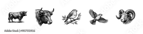 Vintage etching illustration set featuring a bull, songbird, flying sparrow, and ram head in a detailed black and white woodcut style.