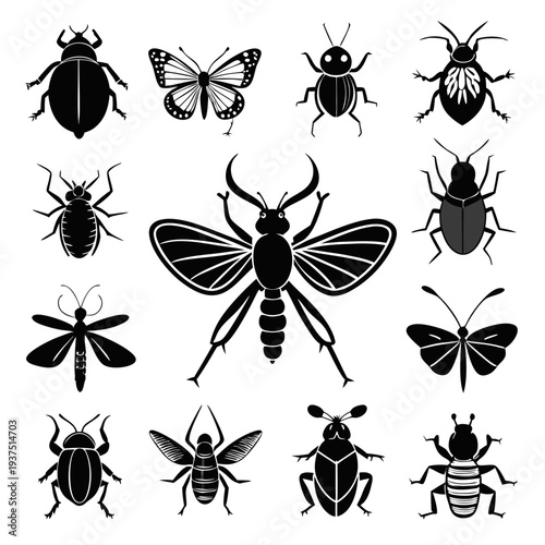 Vector Collection of Black and White Insects on White