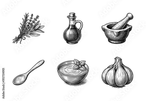Vintage engraving set of culinary herbs and kitchen tools including garlic, olive oil, mortar and pestle, and wooden spoon