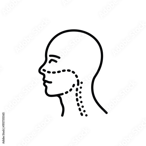Diagram of a human head and neck showing internal nasal structure