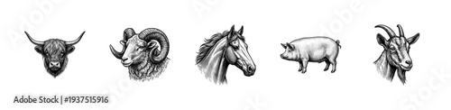 Vintage engraving style farm animal heads collection featuring a bull, ram, horse, pig, and goat