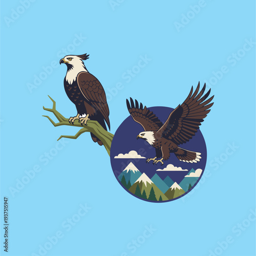 eagle in the sky,garuda, java eagle