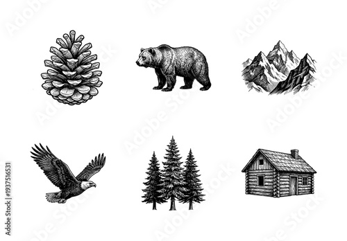 Rustic wilderness collection featuring hand drawn vintage engravings of a grizzly bear, bald eagle, pinecone, evergreen trees, mountain peak, and log cabin