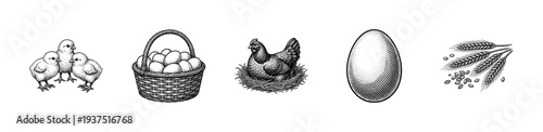 Vintage engraving style collection of farm poultry elements including chicks hen on nest basket of eggs single egg and wheat stalks