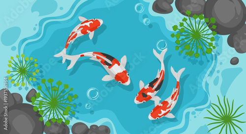 Koi Fish Swimming in Pond