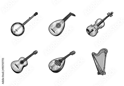 Vintage engraved illustration of stringed musical instruments including banjo lute violin guitar mandolin and harp