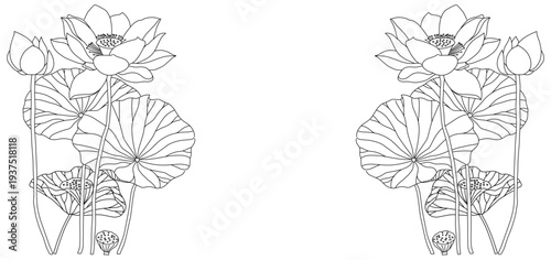 lotus flower plant line vector design eps 2