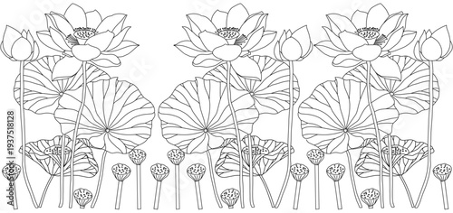 lotus flower plant line vector design eps 1