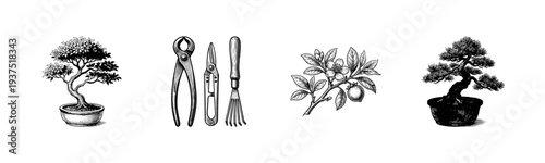 Bonsai tree cultivation set featuring vintage hand drawn sketch illustrations of potted trees, pruning tools, and botanical fruit branch
