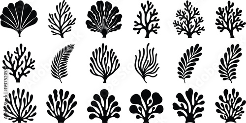 Vector collection of underwater coral and seaweed silhouettes featuring various marine plant shapes and reef elements for aquatic nature design projects.