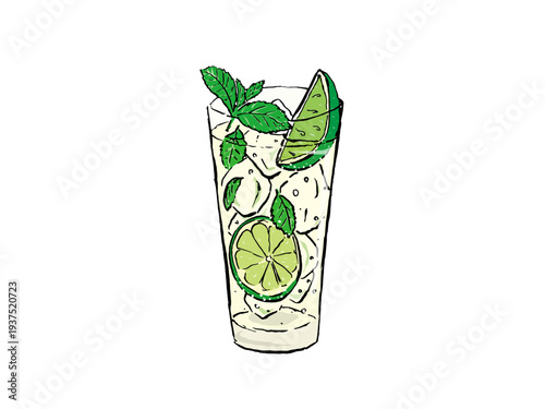 Mojito cocktail with lime and mint hand drawn vector illustration