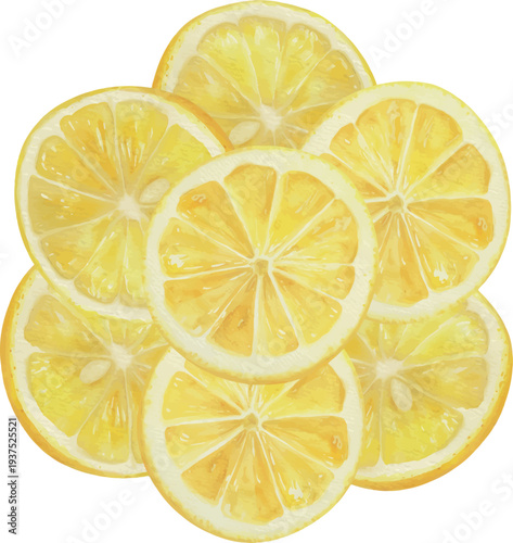 Watercolor Lemon Slices and Wedges Isolated Vector Illustration