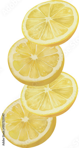 Watercolor Lemon Wedges Isolated Vector Illustration