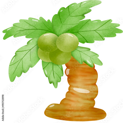 Coconut tree illusion 