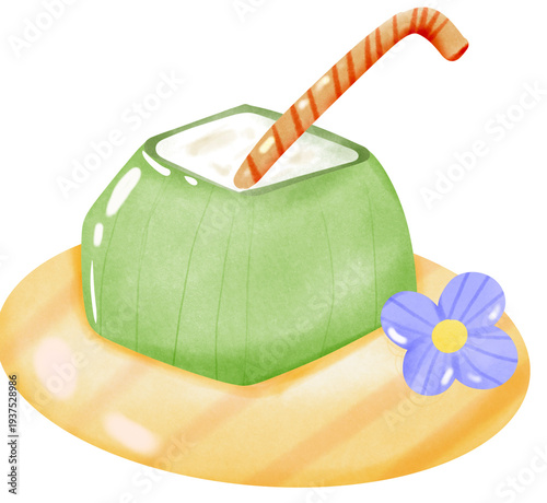 Watercolor water coconut 