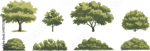 Collection of stylized trees and shrubs illustration, diverse botanical foliage design, educational landscape vegetation set, creative nature elements for g
