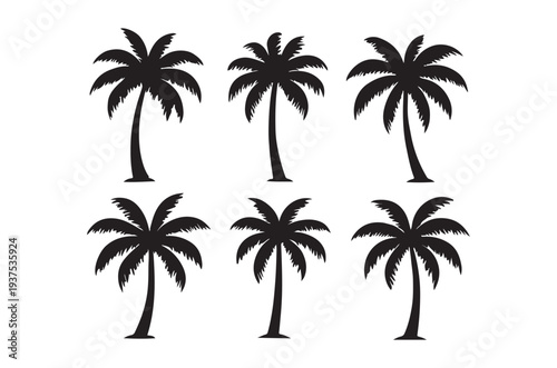 six black palm trees on a white background