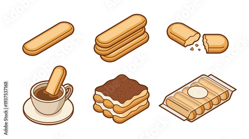 Ladyfinger biscuits vector set. Tiramisu dessert, coffee cup dip, broken piece, and packaging illustration. Sweet Italian pastry bakery collection for food design.
