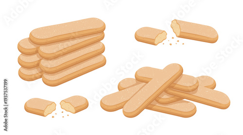 Soft 3D style ladyfinger biscuits vector illustration featuring neat stacks, scattered piles, and broken pieces for bakery and pastry design projects.