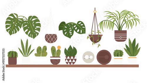 Stylized illustration of indoor plants displayed on a shelf