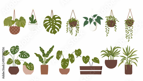 Collection of stylized hanging and potted houseplants in varying shades of green