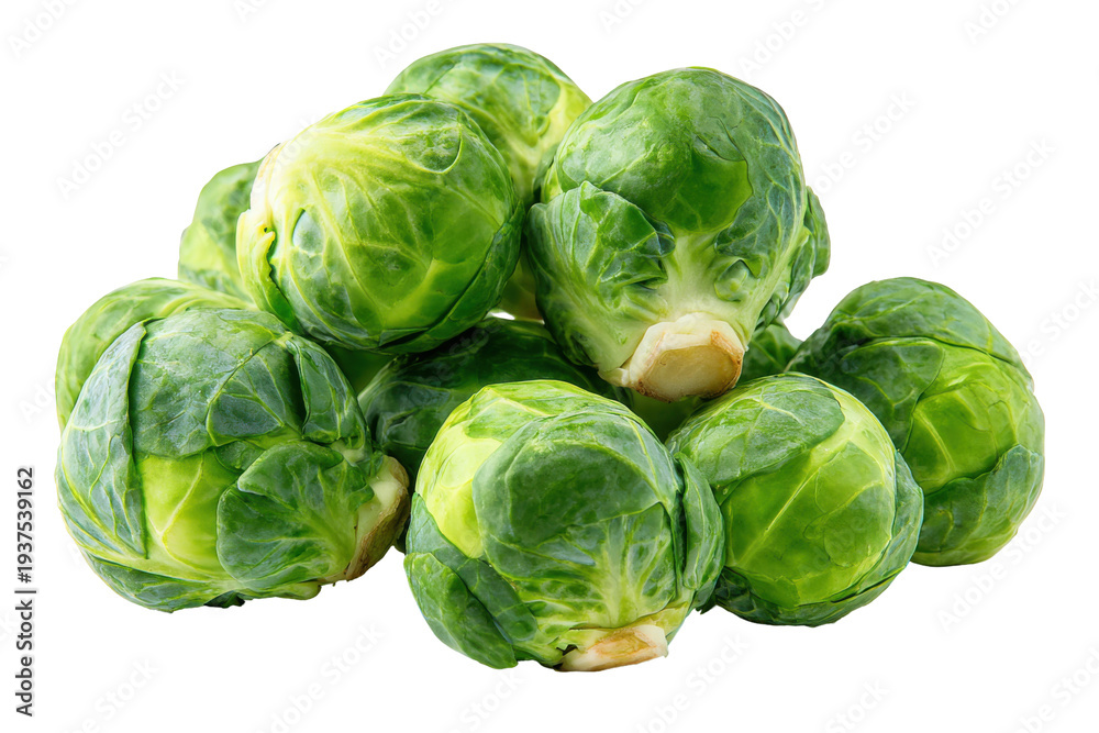 Obraz premium Fresh green Brussels sprouts isolated PNG, healthy vegetable for cooking and salads isolated on a white background
