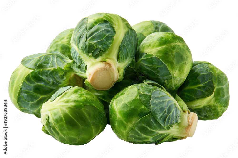 Obraz premium Fresh green Brussels sprouts isolated PNG, healthy vegetable for cooking and salads isolated on a white background