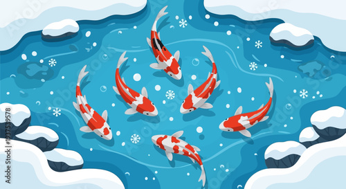 Koi fish swimming in icy water, winter scene