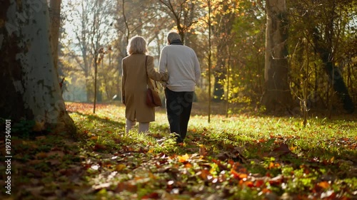 Elderly couple walking hand in hand through a sunlit autumn park with fallen leaves