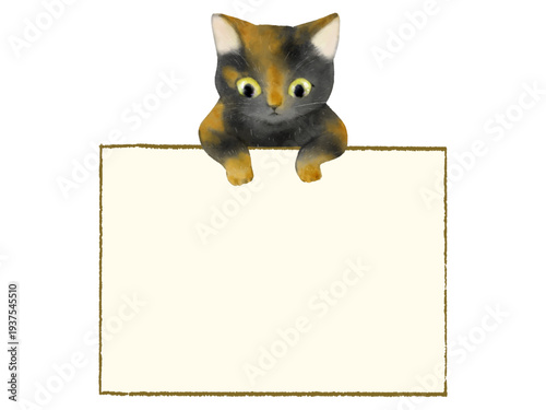 覗き込む子ねこのかわいいフレーム　水彩イラスト