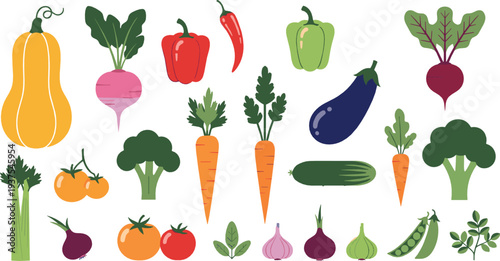 Colorful flat vegetable illustration set with carrot broccoli pepper beet eggplant zucchini tomato and leafy greens for healthy food and farming designs