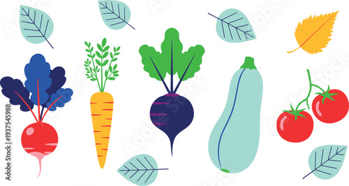 Colorful flat vegetable illustration set with beetroot carrot radish zucchini tomatoes and leaves for healthy food design and organic lifestyle concepts