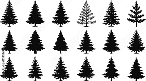 Collection of pine and fir tree silhouettes, black evergreen forest vector set isolated on white background for winter landscape and Christmas design