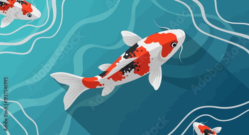 Koi Fish Swimming in Blue Water