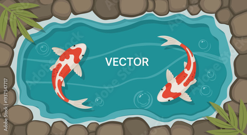 Koi Pond with Two Swimming Koi Fish