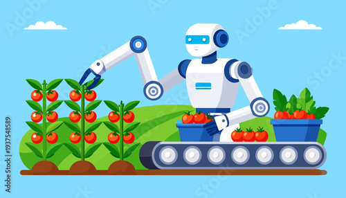 Robot Harvesting Tomatoes on Conveyor Belt