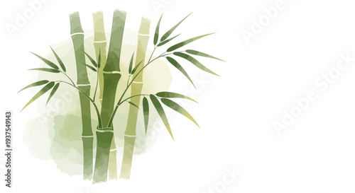 Watercolor Bamboo Stalks and Leaves