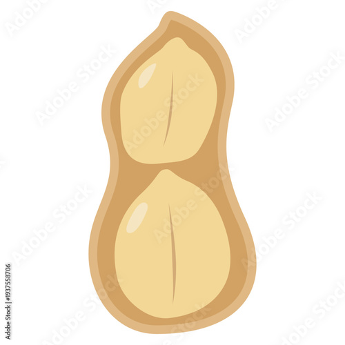 peeled peanut